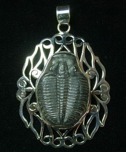 Sterling Silver Elrathia Trilobite Pendant #8592